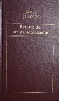 Image of Retrato del artista adolescente